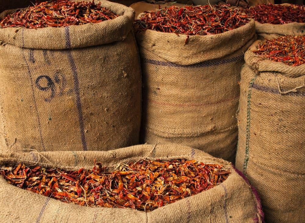 01 russler fwt spring2017 e1490116787656